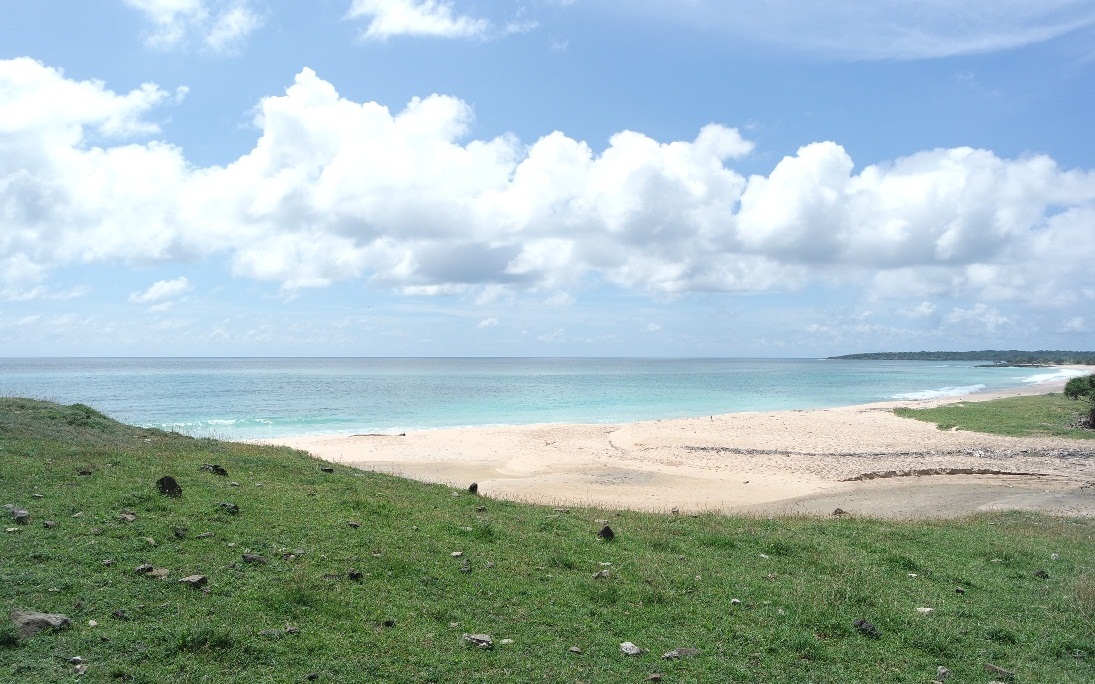 pulau semau pantai liman