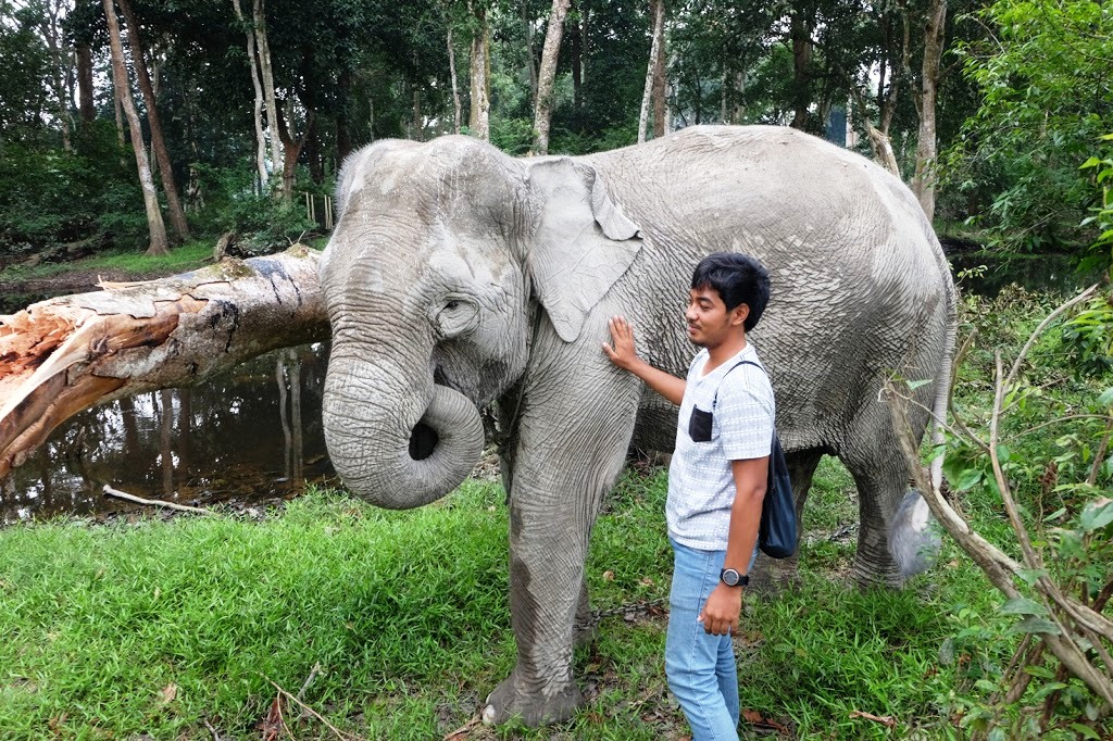 Traveler Paruh Waktu besama Ngatini Gajah Riau